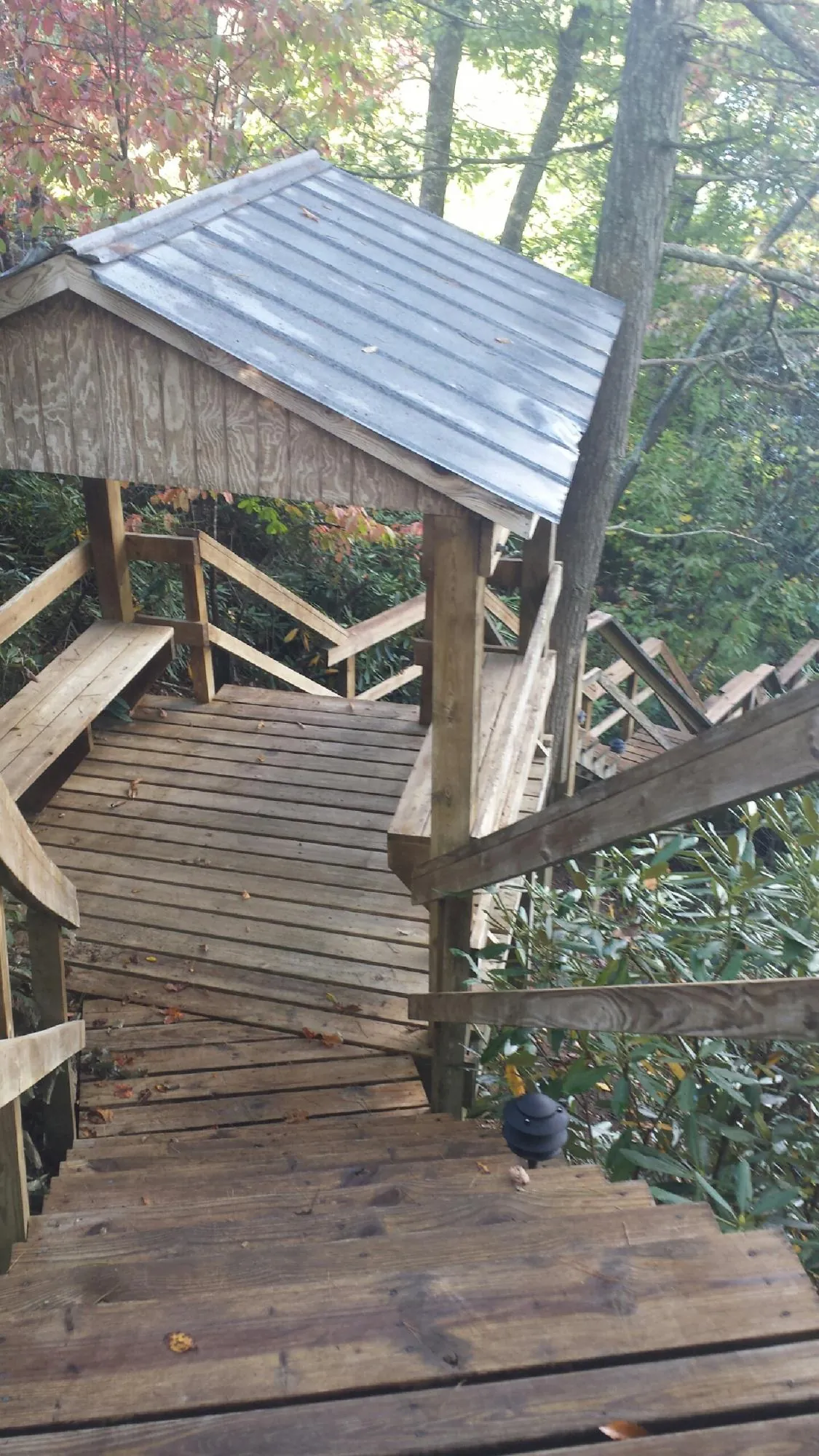 Metal roofed shelter over wooden steps on a wooded walkway — Skylight Repair & Installation work by our crew in Pena Blanca