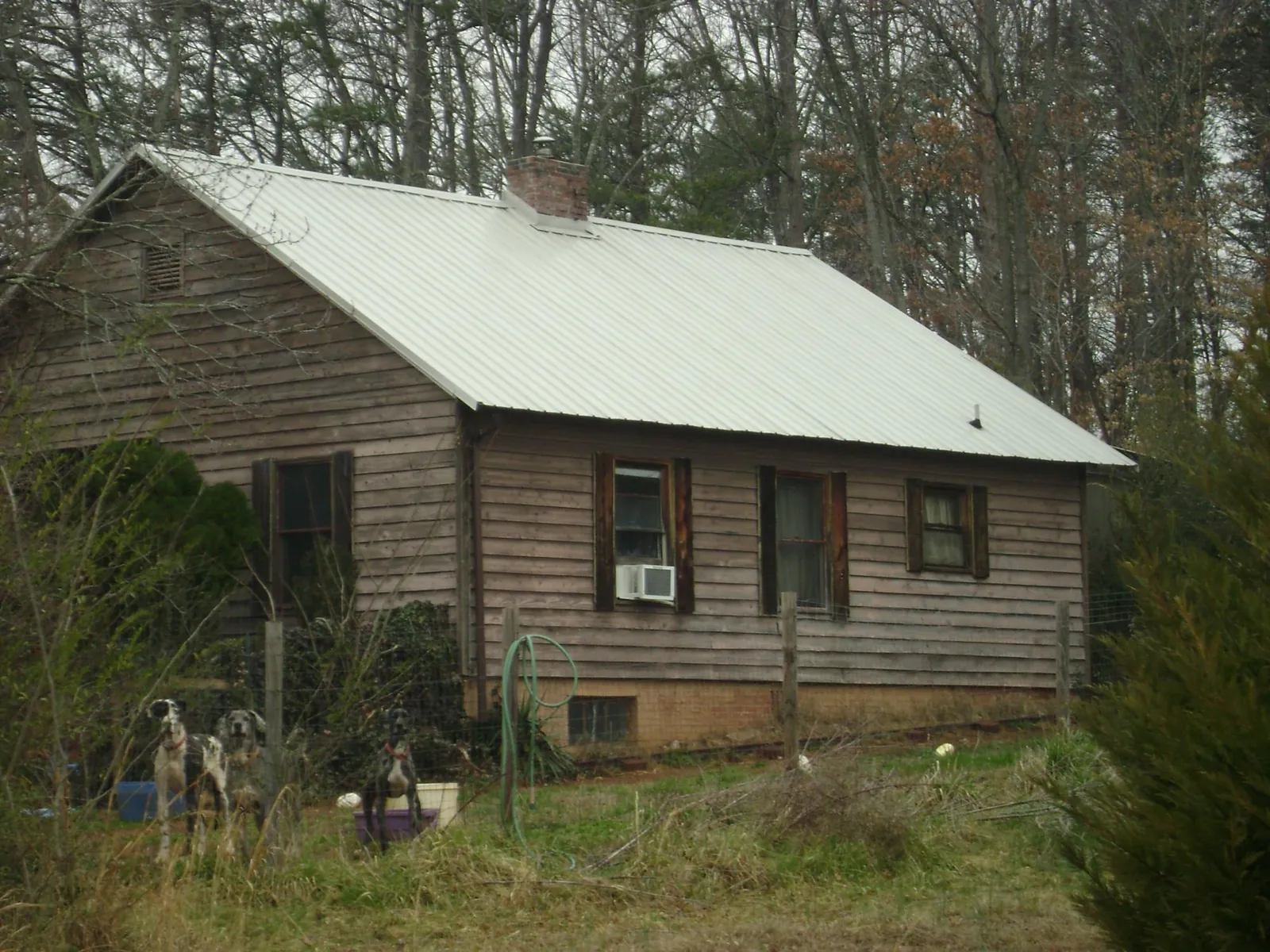 White metal roof on an old wood sided farmhouse, from a Asphalt Shingle Roof Repair job in Pena Blanca